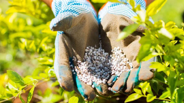 nawozy-do-roslin-cieszyn