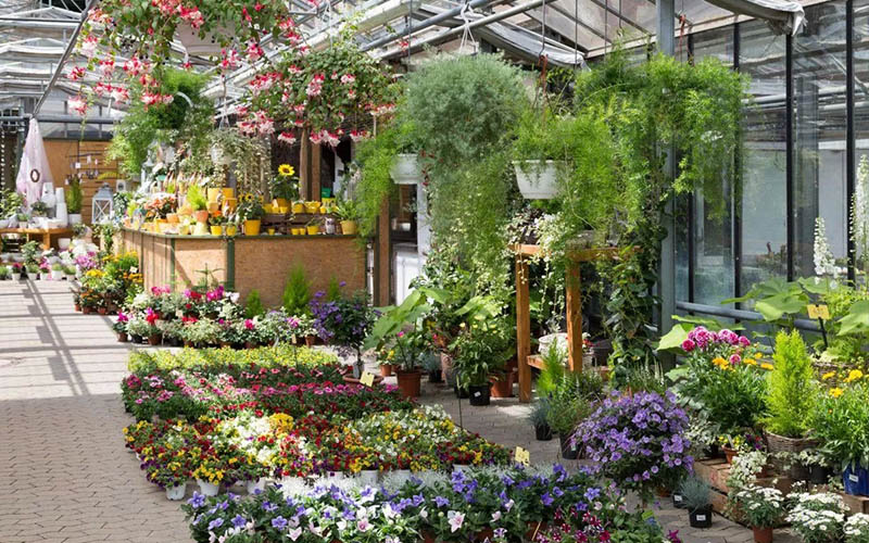 zaopatrzenia centrow ogrodniczych